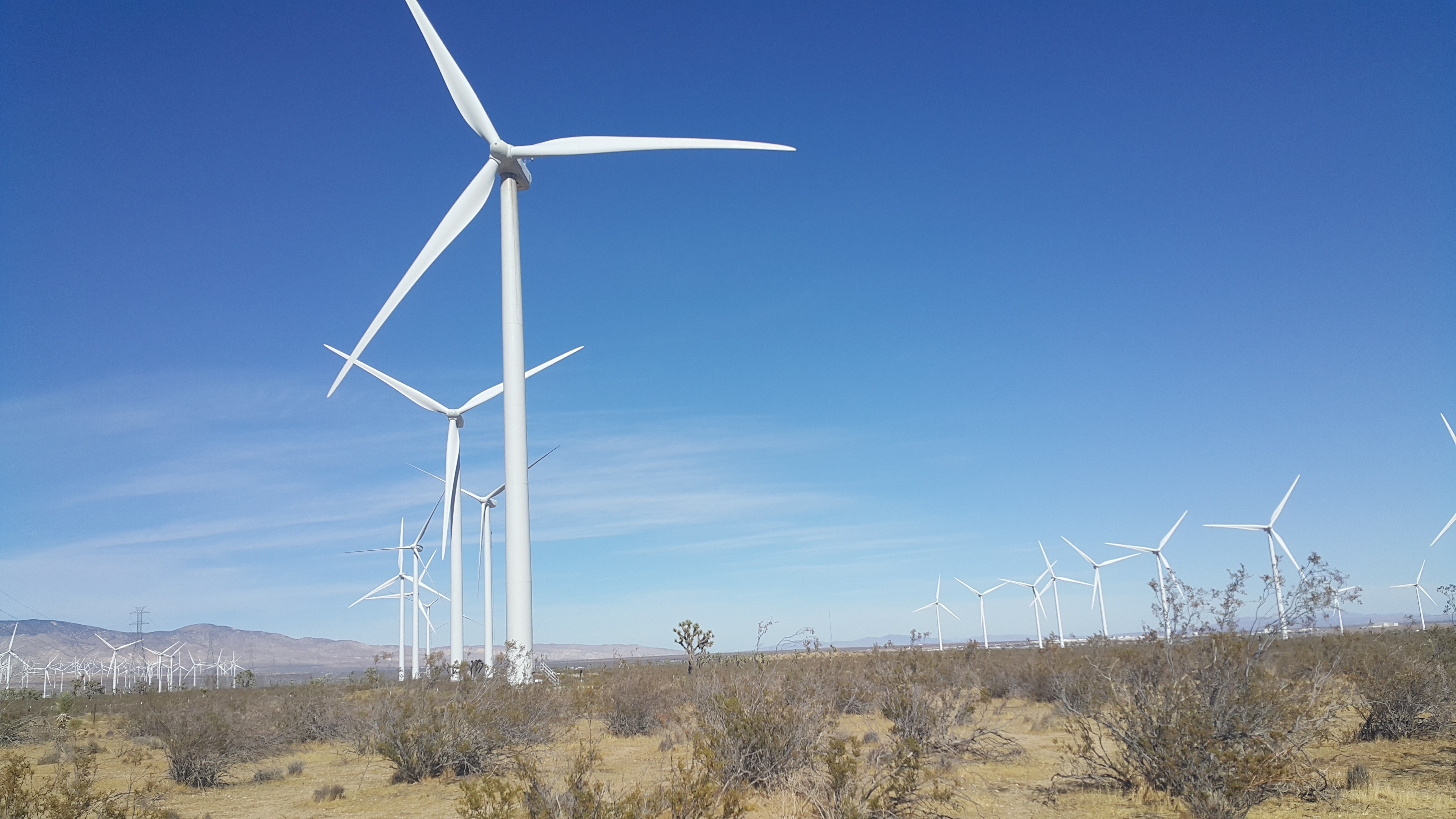Wind turbines across open landscape